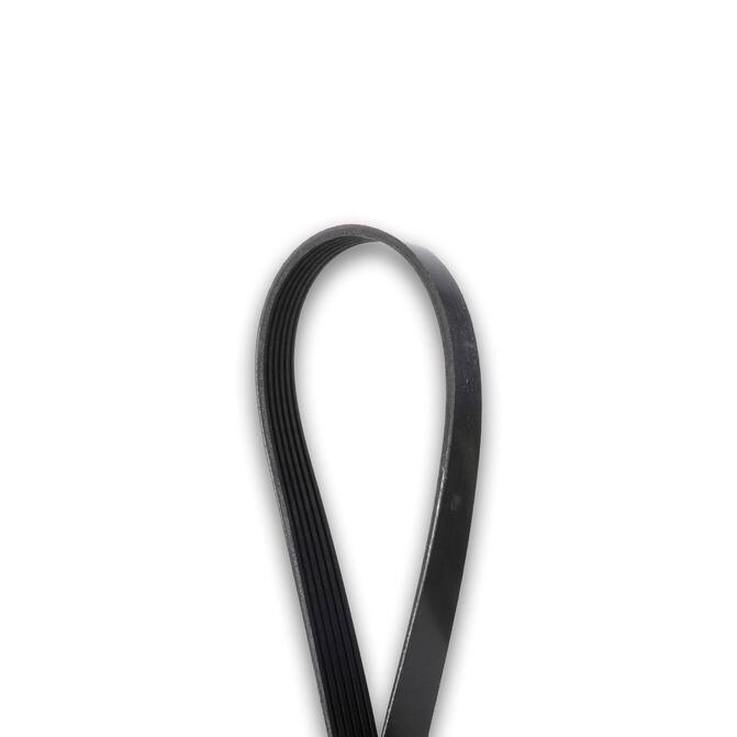 dayco v belt cross reference