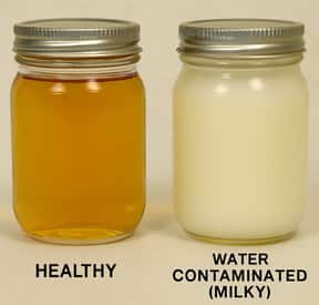 An image of a low hydraulic reservoir